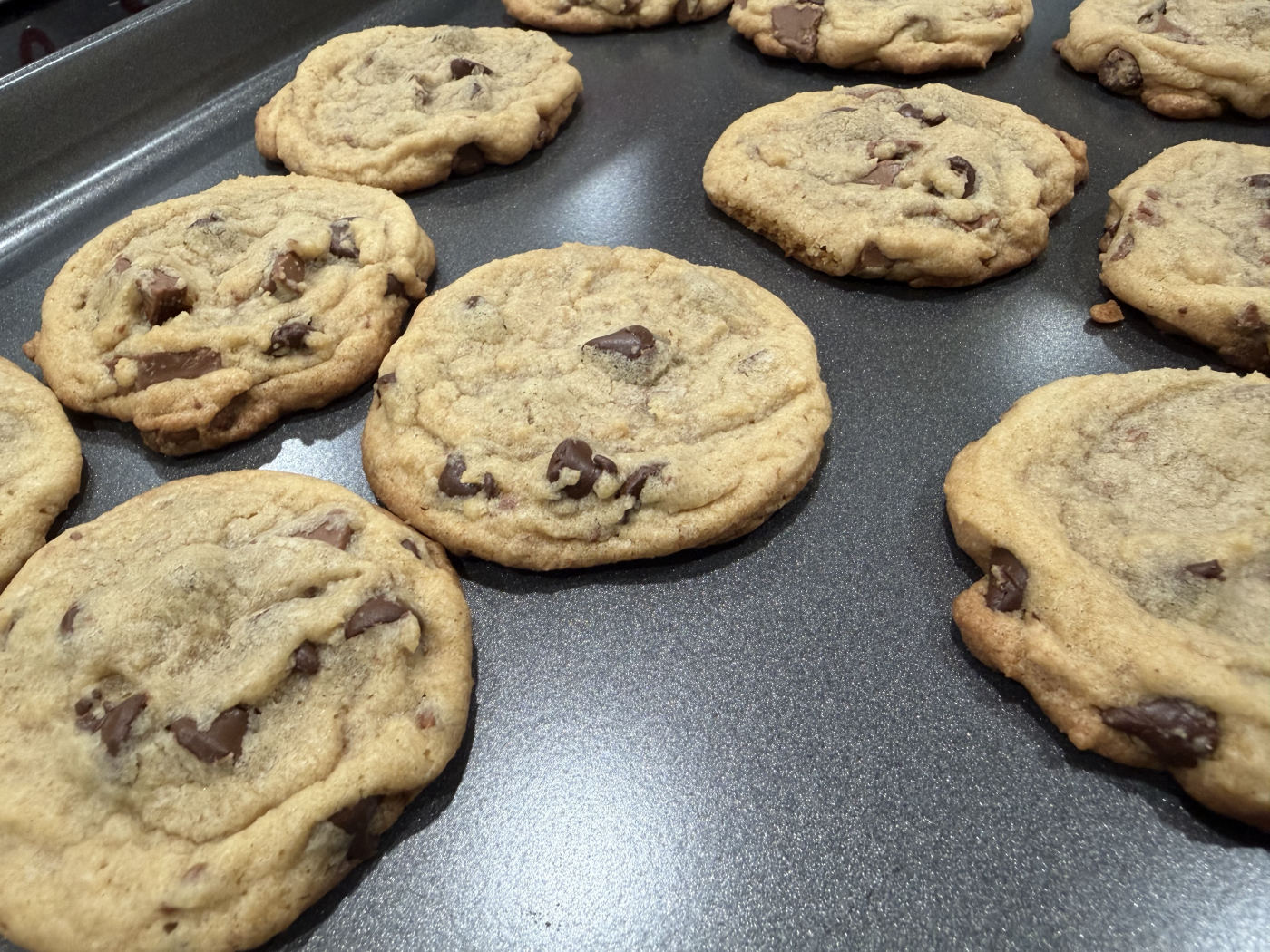 Fresh-baked chocolate chip cookies